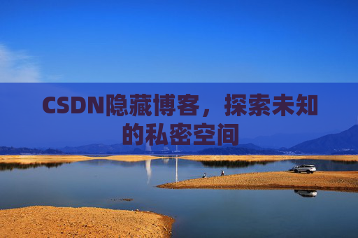 CSDN隐藏博客，探索未知的私密空间